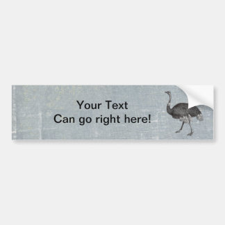 Adesivo Para Carro Vintage Ostrich