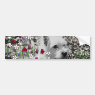 Adesivo Para Carro Violeta nas flores - cão branco de Westie
