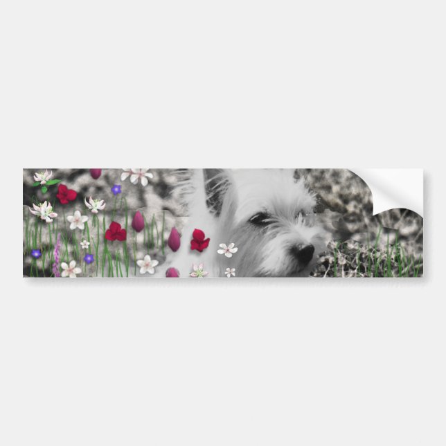 Adesivo Para Carro Violeta nas flores - cão branco de Westie (Frente)