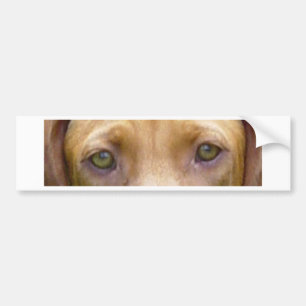Adesivo Para Carro vizsla eyes.png