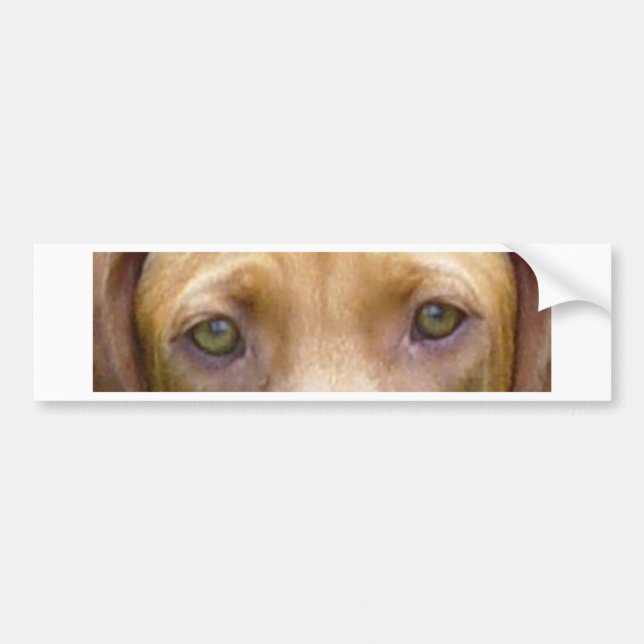 Adesivo Para Carro vizsla eyes.png (Frente)
