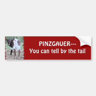 Adesivo Para Carro Você pode dizer bumpersticker-personaliza