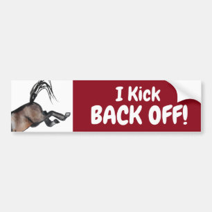 ADESIVO PARA CARRO VOLTEI!