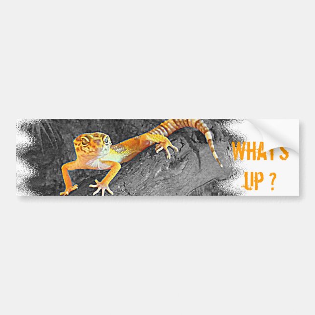 Adesivo Para Carro What's up? Geco, leopard gecko, (Frente)