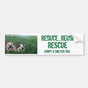 Adesivo Para Carro Wheatdogs