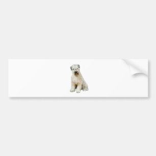 Adesivo Para Carro Wheaten Terrier (C)