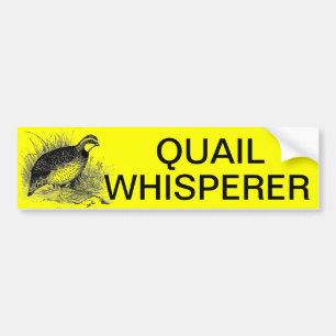 ADESIVO PARA CARRO WHISPERER DAS CODORNIZ