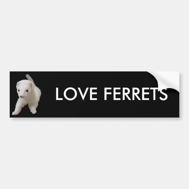 Adesivo Para Carro White Baby Ferret (Frente)