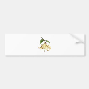 Adesivo Para Carro White Lily