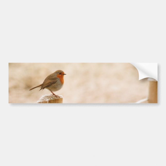Adesivo Para Carro Winter Robin Redbreast (Frente)