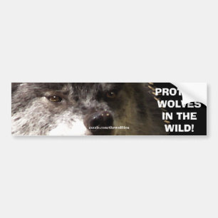 Adesivo Para Carro WOLF FACE Wildlife Conservation Bumper sticker