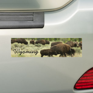 Adesivo Para Carro Wyoming Bison Nature