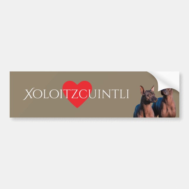 Adesivo Para Carro Xoloitzcuintli (Frente)