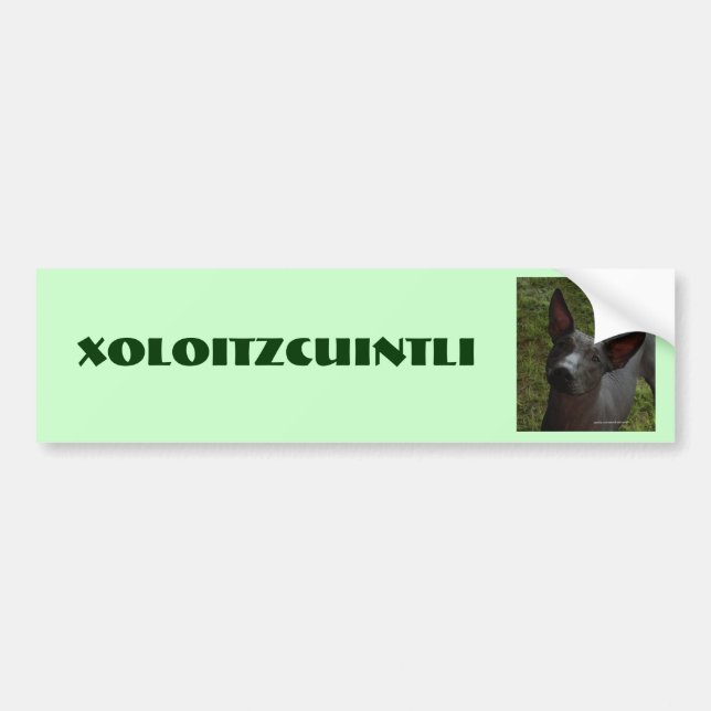 Adesivo Para Carro Xoloitzcuintli (Frente)