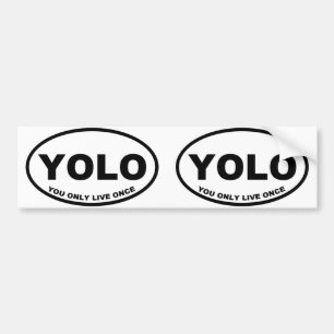 Adesivo Para Carro YOLO você vive somente uma vez