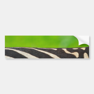 Adesivo Para Carro Zebra