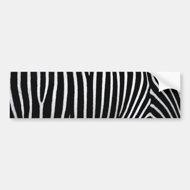 Adesivo Para Carro Zebra Skin (Frente)