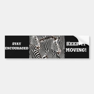 Adesivo Para Carro Zebras love_