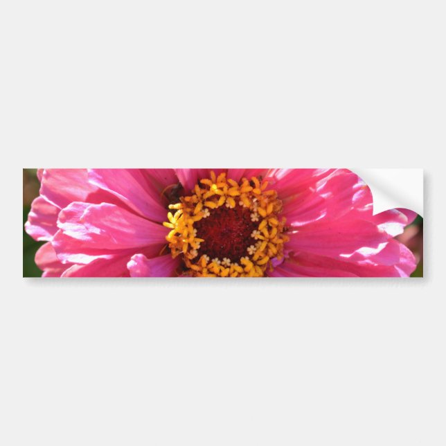 Adesivo Para Carro Zinnia Rosa (Frente)