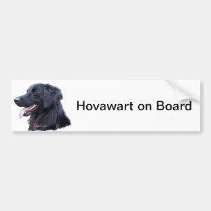 Adesivo Para Carro zwart do hovawart