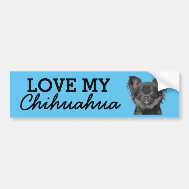 Adesivo para-choques Chihuahua (Frente)