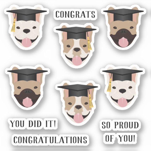 Adesivo Parabéns Bulls Franceses (Frente)