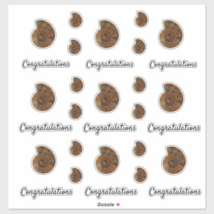 Adesivo Parabéns de Frente de Geodo de Agato Castanho