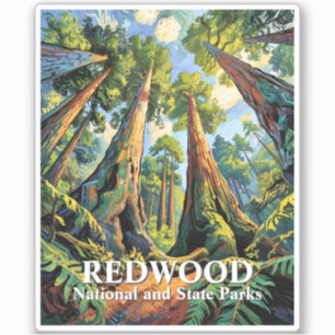 Adesivo Parque Nacional Redwoods Califórnia Van Gogh Perso