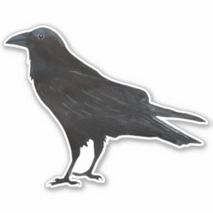 Adesivo Pássaro Negro