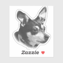 Pau de Ruby transparente!