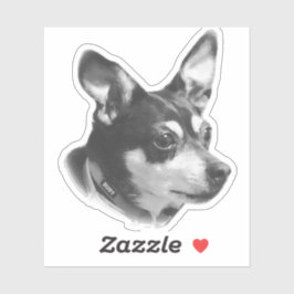 Adesivo Pau de Ruby transparente!