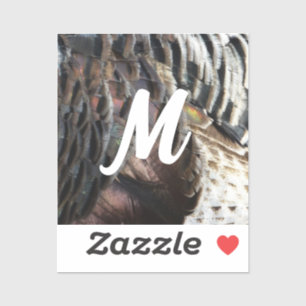 Adesivo Penas Selvagens Turcas I Abstrato Nature Design