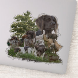 Adesivo Pequeno Munsterlander