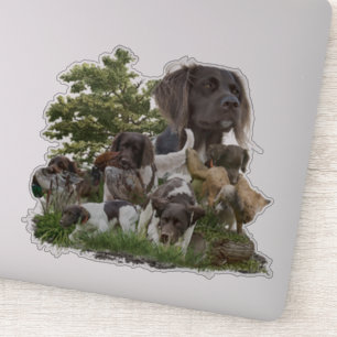 Adesivo Pequeno Munsterlander