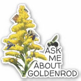 Adesivo Pergunte-me sobre Goldenrod e Polinizadores