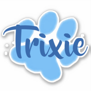 Adesivo personalizado de impressão digital azul