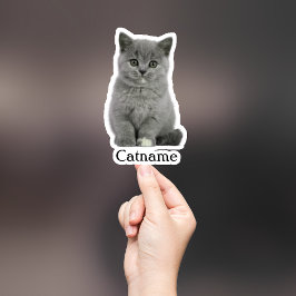 Adesivo Personalizado para Pet, Vinil Recortado à 