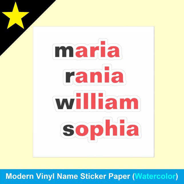 Adesivo Personalizados 4 Nomes, Autocolantes Novelty Fun (Personalized vinyl name stickers
)