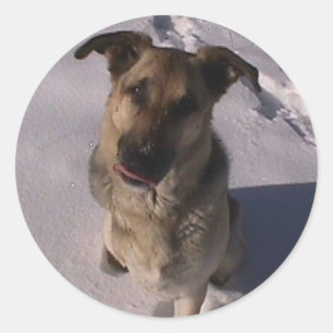 Adesivo personalizável