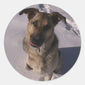 Adesivo personalizável