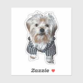 Adesivo Personalize! Pet Photo