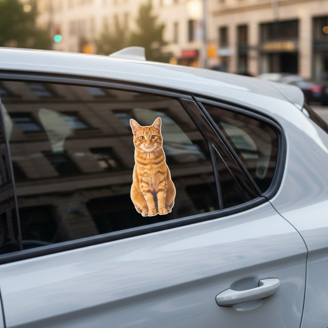 Adesivo Personalized Pet Photo Car Window Sticker (Your Cat's Face, Your Car's New Decal.)