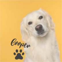 Personalized Pet  Photo Dog Lover with Photo