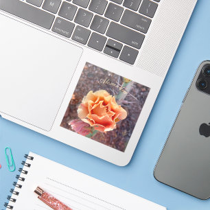 Adesivo Pêssego bonito, Pêssego Rápido