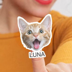 Adesivo Pet de Cachorro de Foto Personalizado   Foto perso