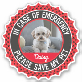 Adesivo Pet Safety Alert with Photo Name Editable Cors (Pe