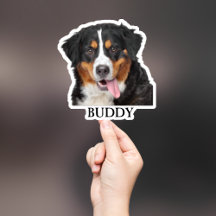 Pet Sticker Personalizado, Dog Sticker Personaliza