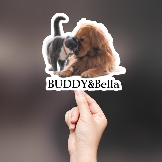Adesivo Pet Sticker Personalizado, Dog Sticker Personaliza (Criador carregado)