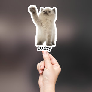 Adesivo Pet Sticker Personalizado, Dog Sticker Personaliza