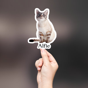 Adesivo Pet Sticker Personalizado, Dog Sticker Personaliza